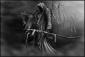 Ombra's picture