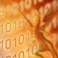 orangedragon10's picture