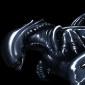XenoDragoness's picture