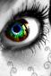 adept42's picture