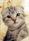 Bozar's picture