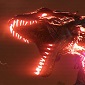 Firkraag's picture
