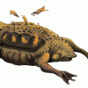 GorgonEyed's picture