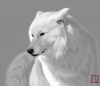 Winterwolf's picture