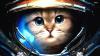 Space Cat's picture