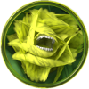 Cortu's picture